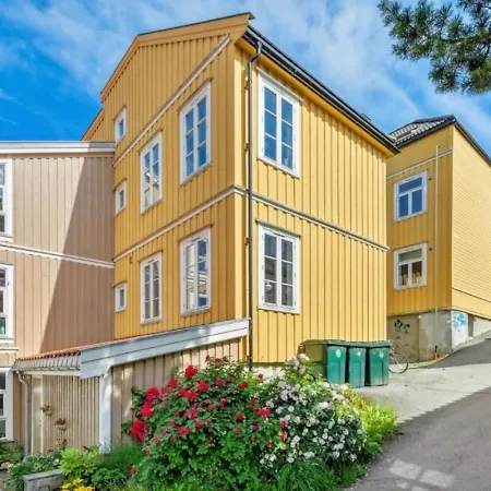 Apartment Near Bakklandet Trondheim